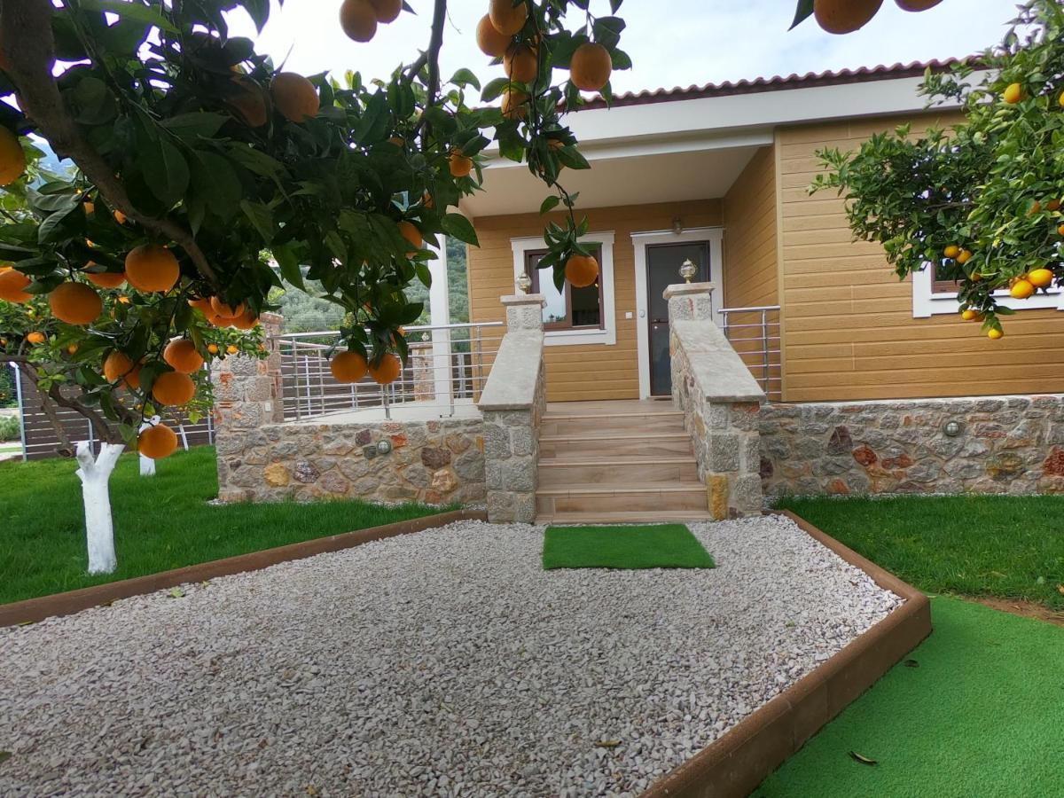 Hébergement de vacances Desa Homes *